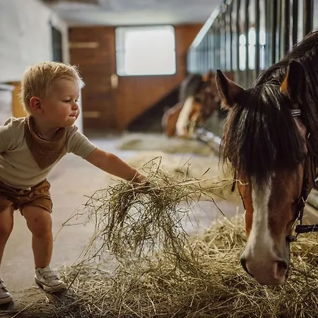 Lerchs Sankt Johann im Pongau