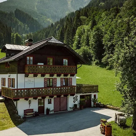 Hotel Lerch Plankenau 3*