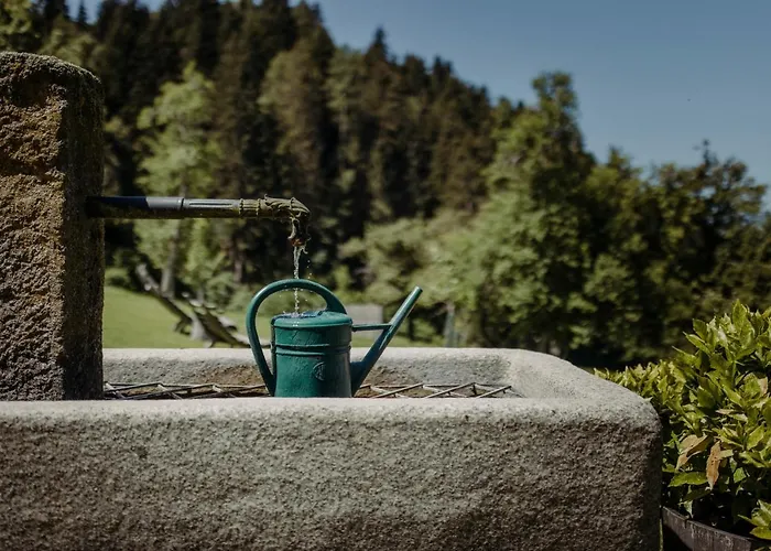 Lerchs 3* Sankt Johann im Pongau