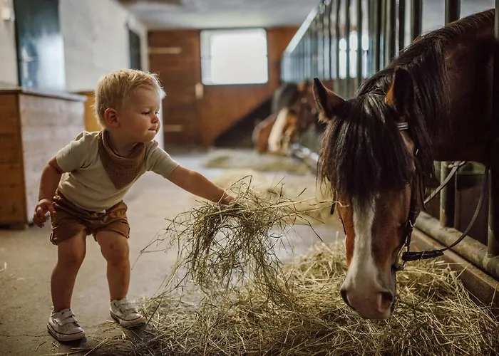 Lerchs Sankt Johann im Pongau